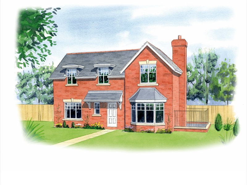 house illustration2